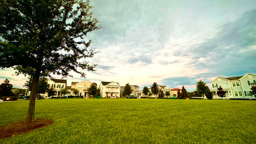 Why Can’t You Find Any Airbnbs in Celebration Florida?