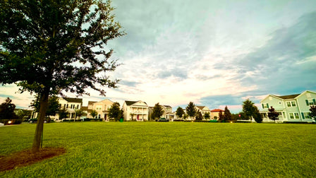 Why Can’t You Find Any Airbnbs in Celebration Florida?